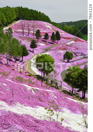 Shiba-ko Park in Hokkaido Okorocho 7663129