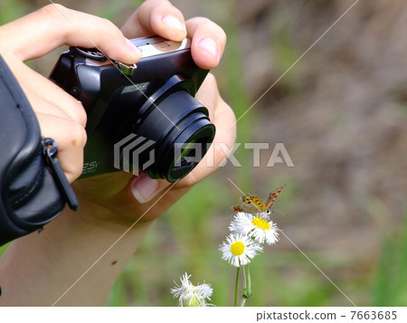 特寫 特寫 7663685