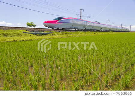Akita Shinkansen Komachi 7663965