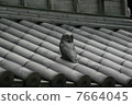 Owl on the roof 7664045
