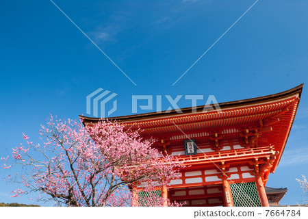 Kiyomizu Temple Deva gate (Akamon) 7664784