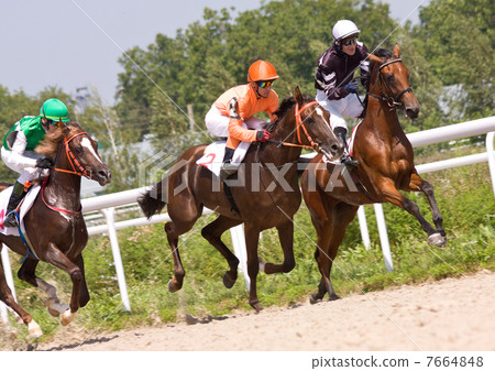 Horse racing in Pyatigorsk. 7664848