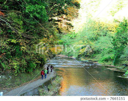 Hiking Hiking 7665151