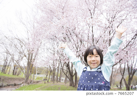 Cherry blossoms and girls Cherry blossoms and girls 7665207
