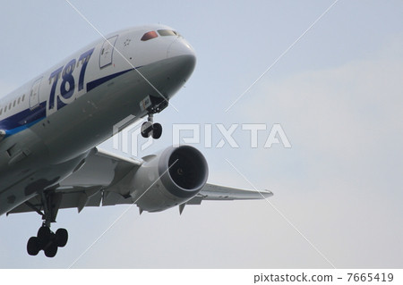 飛機 客用飛機 噴氣式飛機 7665419