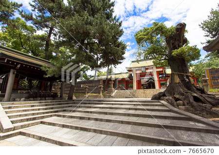 Sumiyoshi Taisha Shrine 7665670
