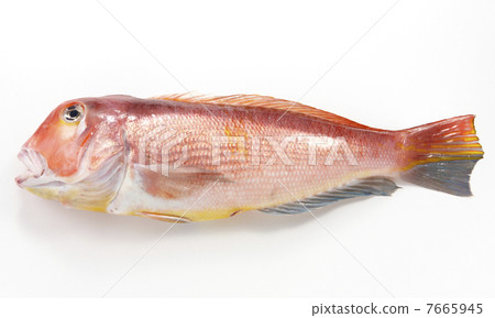 Sweet bream 7665945
