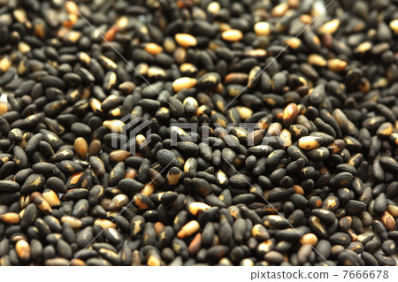Black sesame Black sesame 7666678