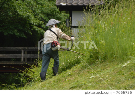 割草工作新潟 7666726