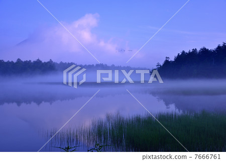 早春的濕地·黎明 7666761