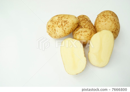 Cynthia potato Cynthia potato 7666800