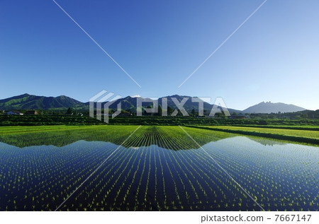 Aso Goryo Nirvana雕像和倒Nirvana雕像南Aso Paddy Aozora更多 7667147