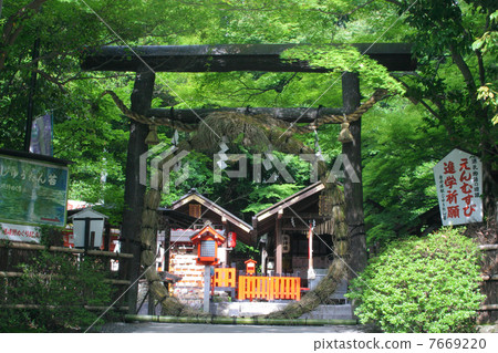 Kyoto Nomiya Shrine Natsukoshi Ryo Kayono 7669220