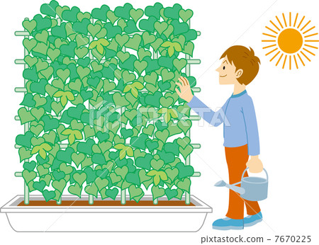 Green Curtain 7670225