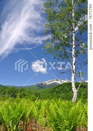 清爽的高原 清爽的高原 7671794