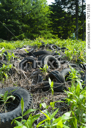 非法傾銷 非法傾銷 7671856