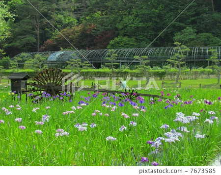 Nagasawa-ji Temple flower garden "Flower bowl and Six-hole type water mill 7673585