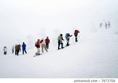 雪兔 雪兔 7673708