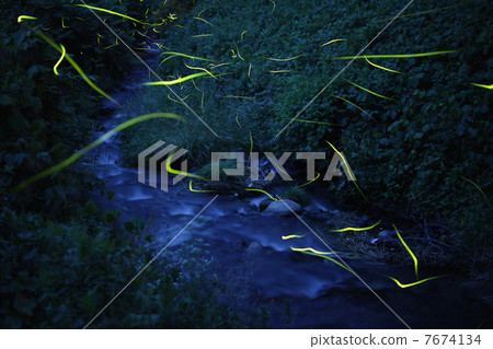Firefly Takayama City Kamiho-cho 7674134