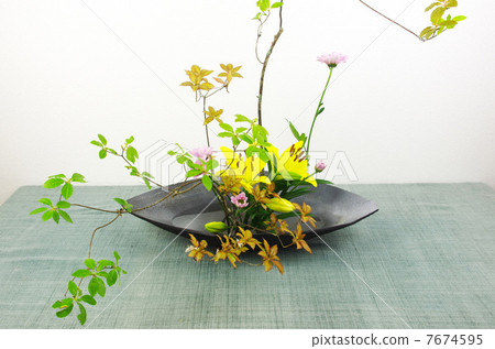 要初夏生活 7674595