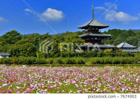 弘法寺的宇宙 7674801