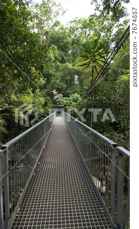莫斯曼的峽谷吊橋 7674887
