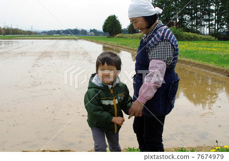Rice planting landscape 7674979
