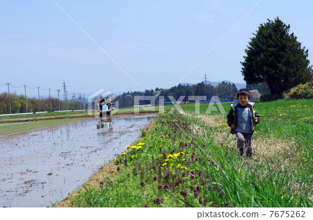 蒲公英和孩子們 7675262