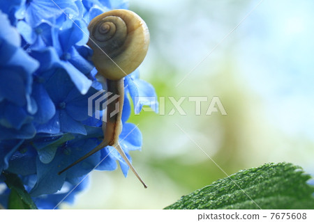 Snails 930 Snails 930 7675608