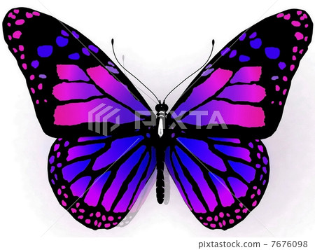 Isolated butterfly 7676098