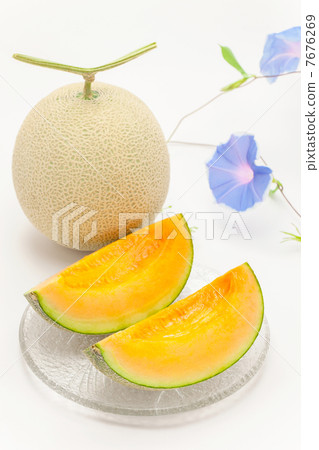 伯爵瓜和牽牛花 7676269