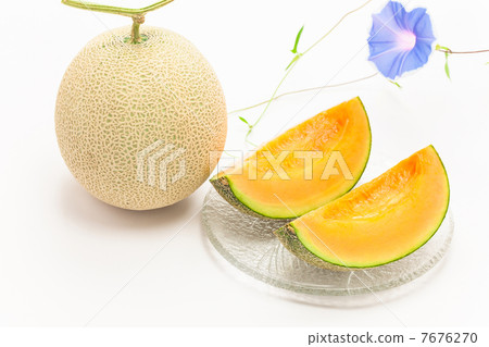 與戰神梅隆的牽牛花 7676270