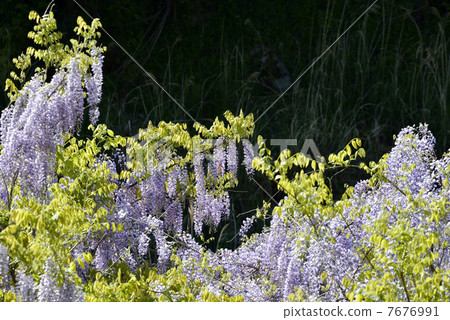 富士貨架 7676991