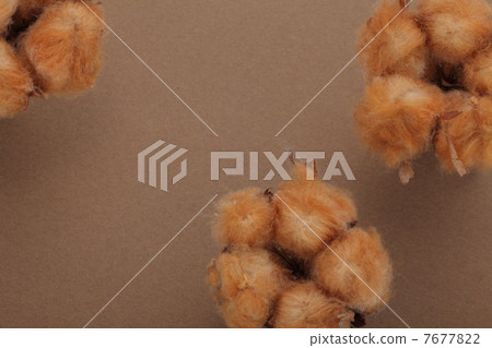 Cotton Flower 7677822