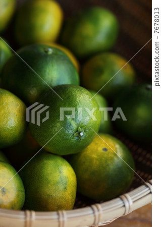 早見普通話 早見普通話 7678013