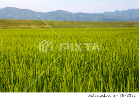 Uonuma Uonuma 7678052