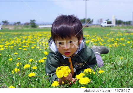 Dandelion and children 7678437