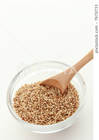 芝麻要健康 7678733