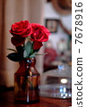 A red rose 7678916
