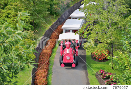 Flower Train Flower Train 7679057
