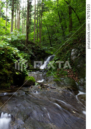 A small waterfall in the forest A small waterfall in the forest 7679103