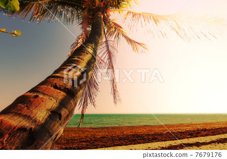 Tropical beach 7679176