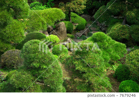 日本庭園 7679246