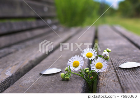 Himeyeon在公園的長椅上 7680360