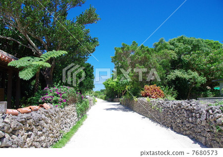 竹富島村 7680573