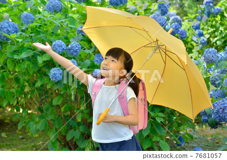 Elementary school girls who have an umbrella (rainy season) 7681057