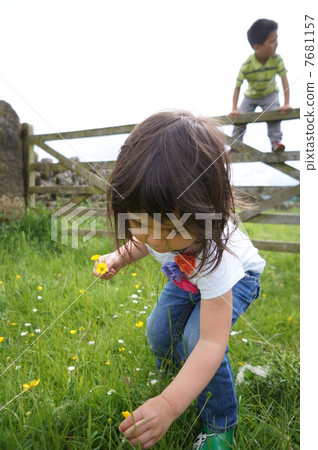 Girl picking flowers 7681157
