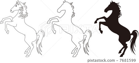 站立黑白的馬行 7681599