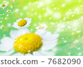 Margaret 7682090