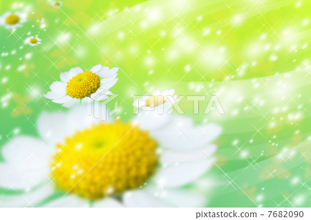 Margaret Margaret 7682090